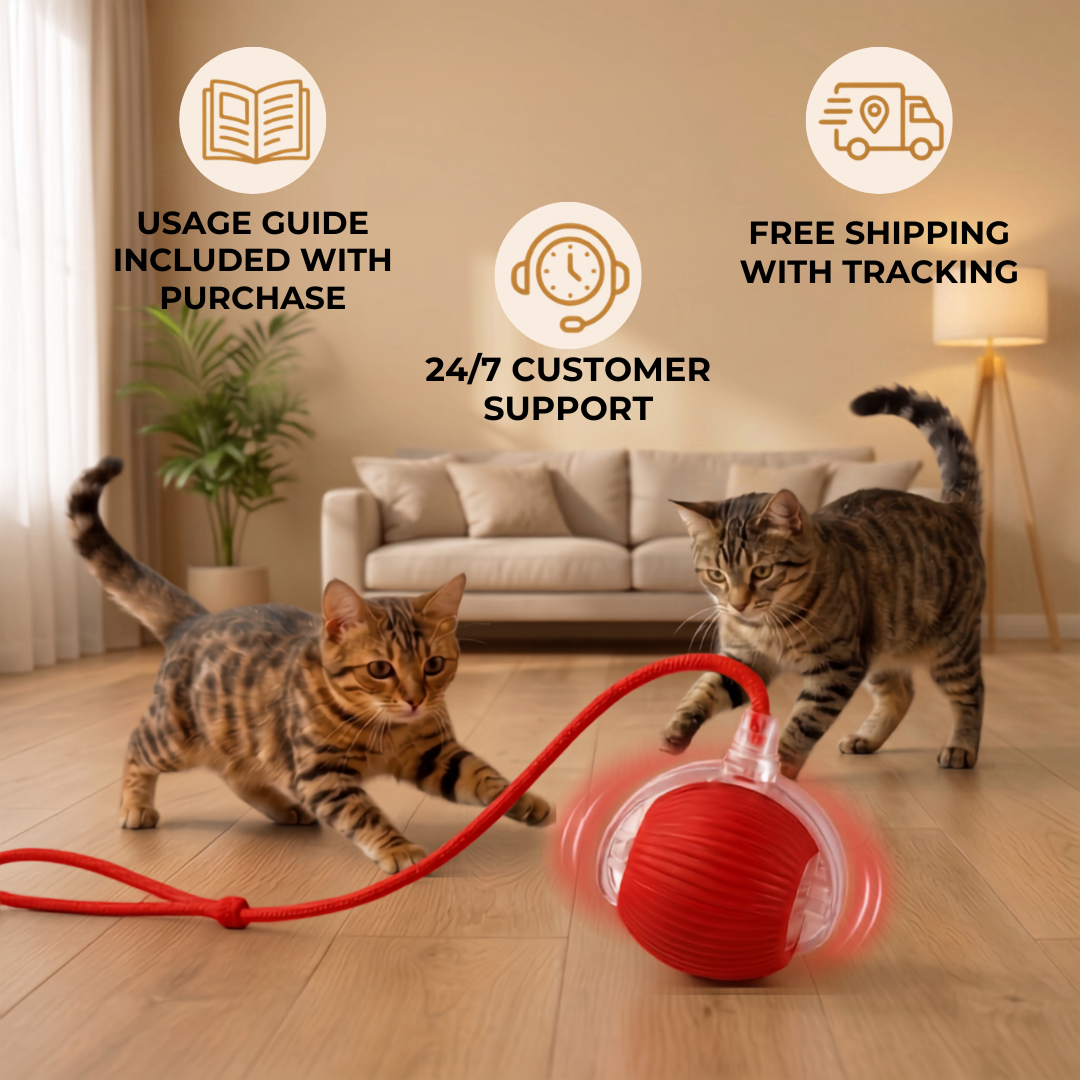 Vylo ChaseTail™ | Smart Hunting Ball