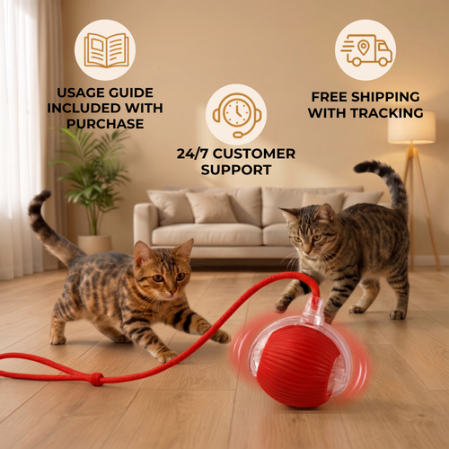 Vylo ChaseTail™ | Smart Hunting Ball