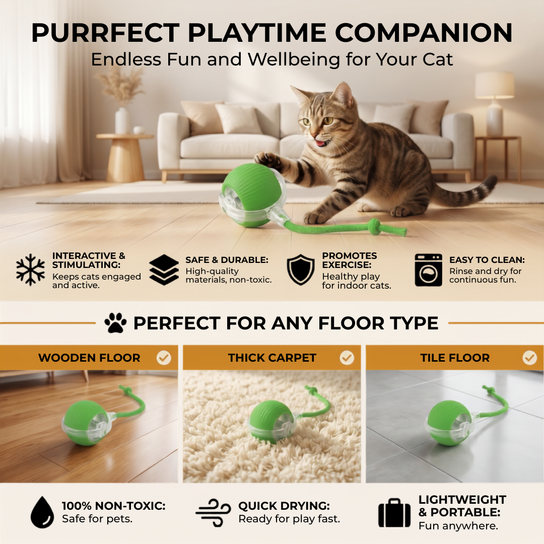 Vylo ChaseTail™ | Smart Hunting Ball