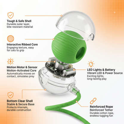 Vylo ChaseTail™ | Smart Hunting Ball