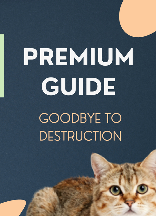 Ebook Goodbye to Destruction